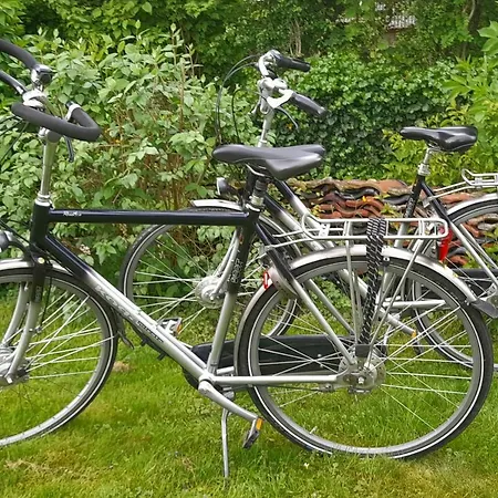Zonnig Maasbommel. *