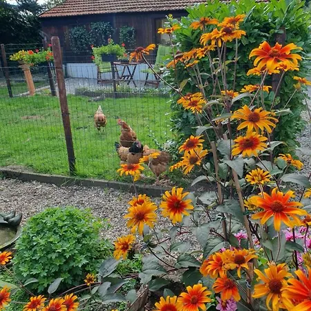 Zonnig Maasbommel. *