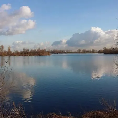 Zonnig Maasbommel.