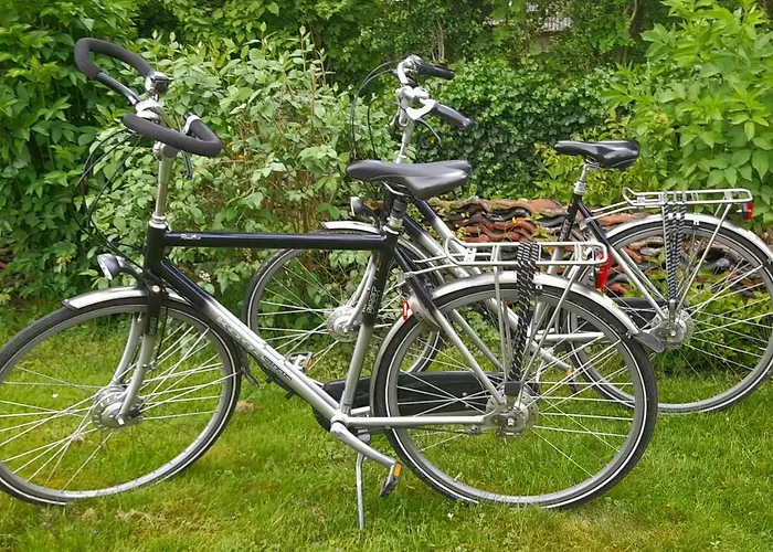 Zonnig Maasbommel. *