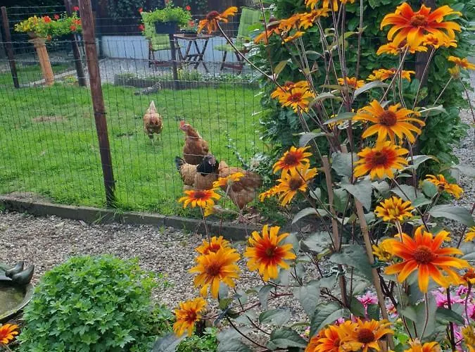 Zonnig Maasbommel. *