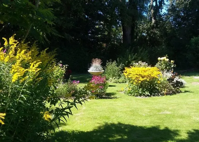 Zonnig Maasbommel. *