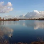 Zonnig Maasbommel.