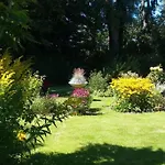 Zonnig Maasbommel. *